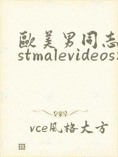 欧美男同志bestmalevideos播放