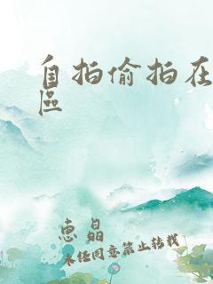 自拍偷拍在线一区