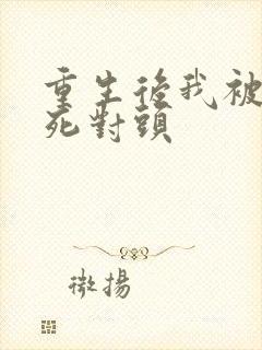 重生后我被渣男死对头