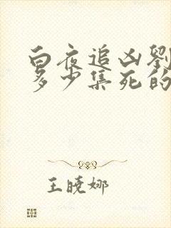 白夜追凶刘长永多少集死的