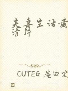 夫妻生活黄色高清片