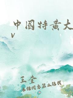 中国特黄大片av