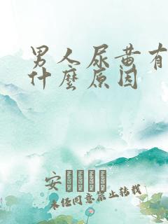 男人尿黄有沫是什么原因