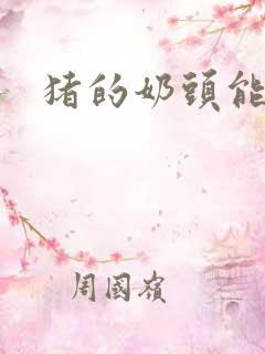 猪的奶头能吃吗