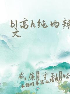 bl高h纯肉辣文