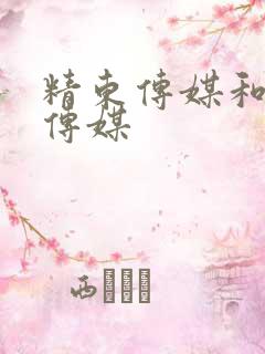 精东传媒和果冻传媒