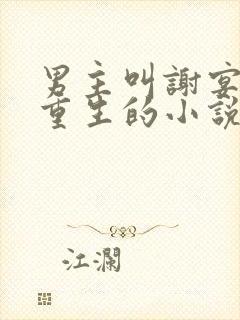 男主叫谢宴女主重生的小说