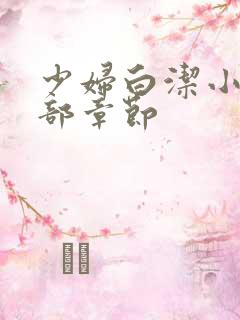 少妇白洁小说全部章节