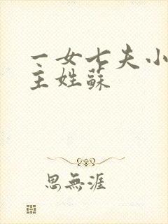 一女七夫小说女主姓苏