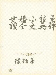 世婚小说免费阅读全文无弹窗