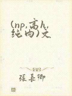 (np,高h,纯肉)文