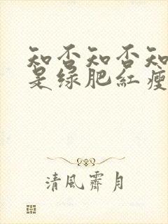 知否知否知否应是绿肥红瘦讲的是什么