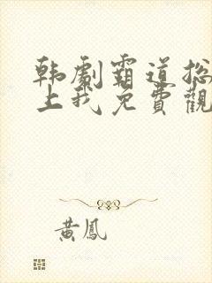 韩剧霸道总裁爱上我免费观看