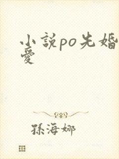 小说po先婚后爱