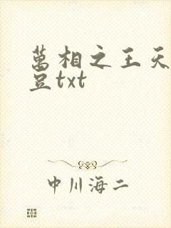 万相之王天蚕土豆txt