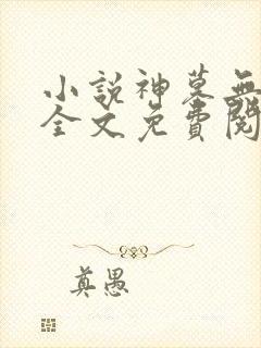 小说神墓无弹窗全文免费阅读