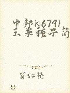 中邦k6791玉米种子简介