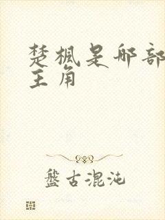 楚枫是哪部小说主角