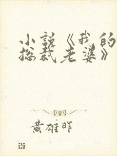 小说《我的冷艳总裁老婆》