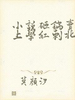 小说砸锅卖铁去上学红刺北全集