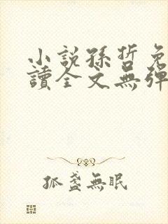 小说孙哲免费阅读全文无弹窗