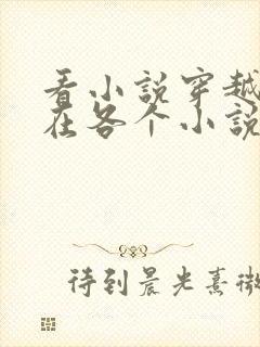 看小说穿越之我在各个小说当女主