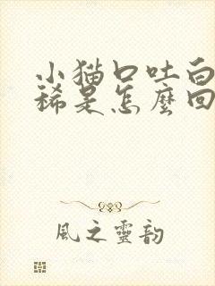 小猫口吐白沫拉稀是怎么回事