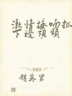 激情接吻抓胸摸下边视频