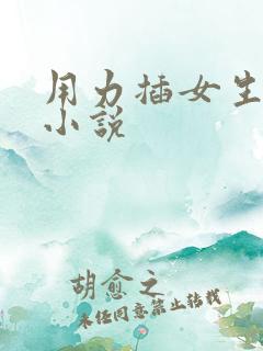 用力插女生阴道小说