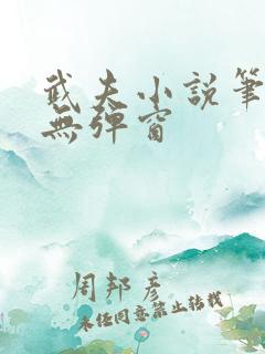 武夫小说笔趣阁无弹窗