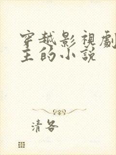 穿越影视剧收女主的小说