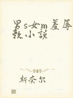 男s女m羞辱调教小说