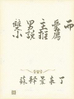 双男主爱而不得小说推荐