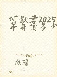 何猷君2025年身价多少亿