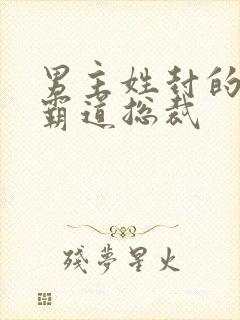 男主姓封的小说霸道总裁