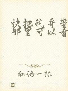 快把我哥带走在那里可以看