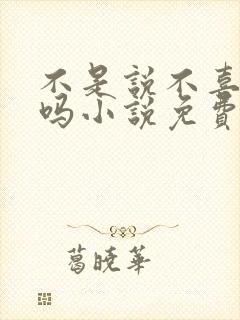 不是说不喜欢我吗小说免费阅读