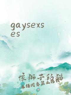 gaysexses