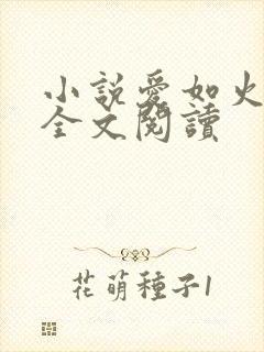 小说爱如火芳姨全文阅读