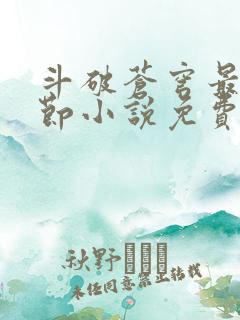 斗破苍穹最新章节小说免费阅读