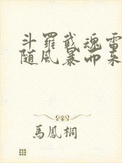 斗罗武魂雷伊我随风暴而来免费阅读