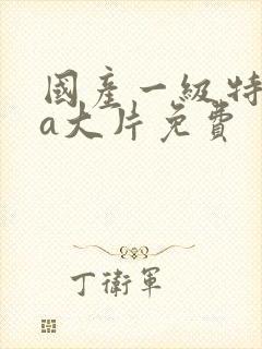 国产一级特黄aa大片免费