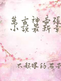 万古神帝张若尘小说最新章节阅