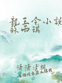 龙王令小说陈平苏雨琪