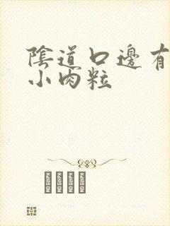 阴道口边有白色小肉粒