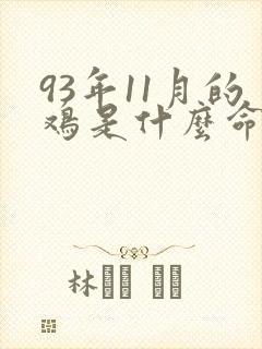 93年11月的鸡是什么命