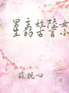 男主姓陆女主重生的古言小说