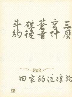 斗破苍穹三年之约后看什么