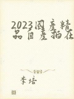 2023国产精品自产拍在线观看