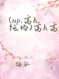 (np,高h,纯肉)高h高辣